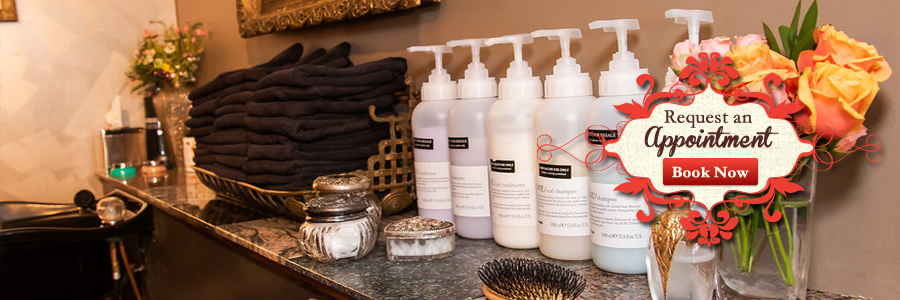 Spitcurl Appointment 1